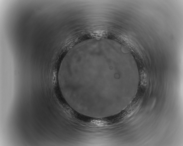 X0000096410699200801311352