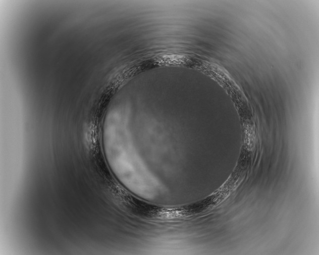 X0000096410701200801311352