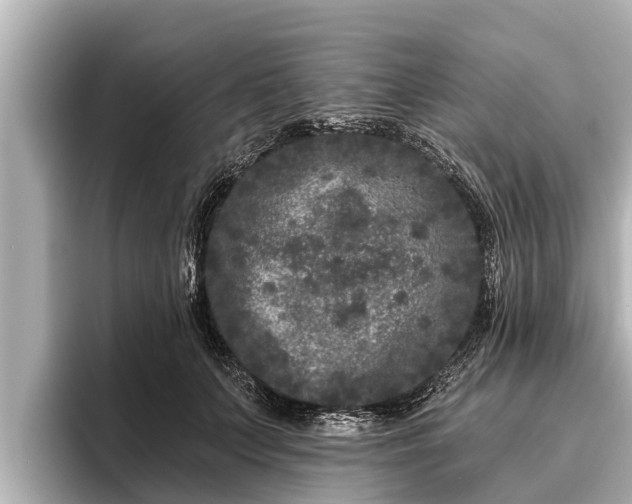 X0000096410703200801311352