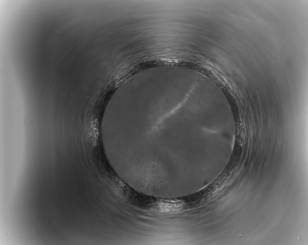 X0000096410707200801311352