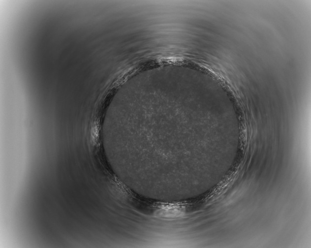 X0000096410709200801311352