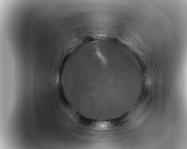 X0000096410711200801311352