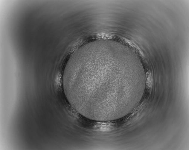 X0000096410713200801311352