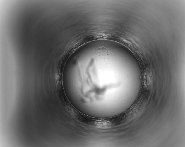 X0000096410714200801311352