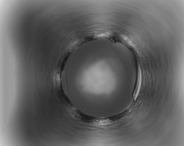 X0000096410716200801311352