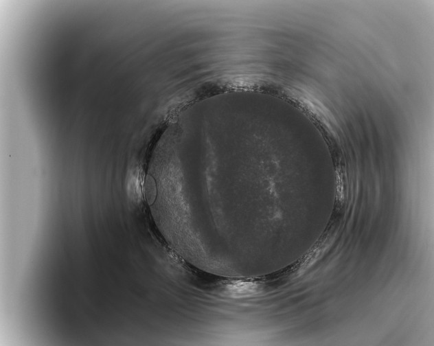 X0000096410718200801311352