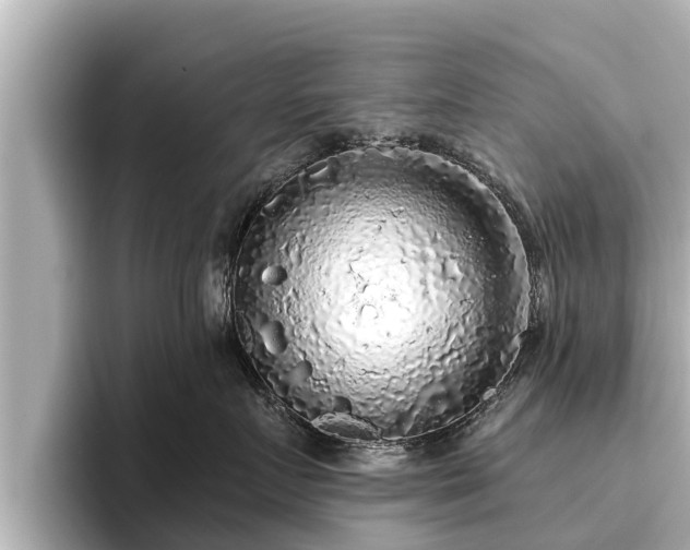 X0000096410719200801311352