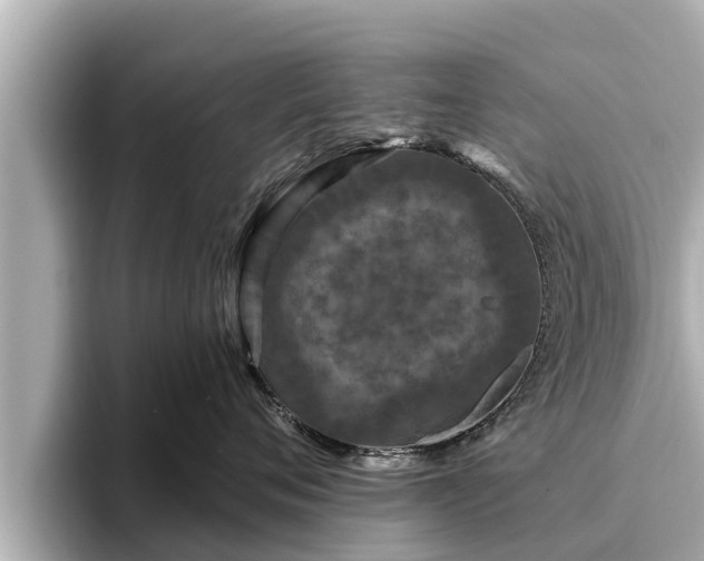 X0000096410720200801311352