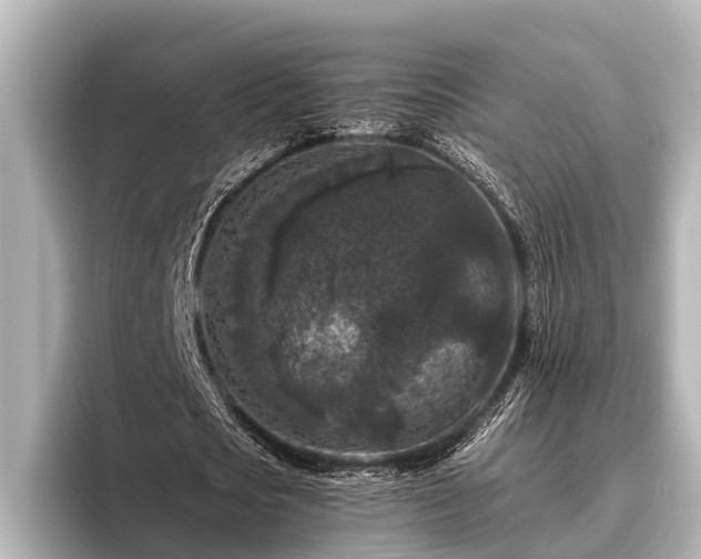 X0000096410721200801311352