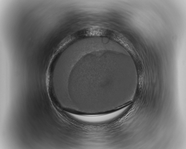 X0000096410722200801311352