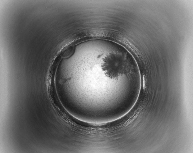 X0000096410723200801311352