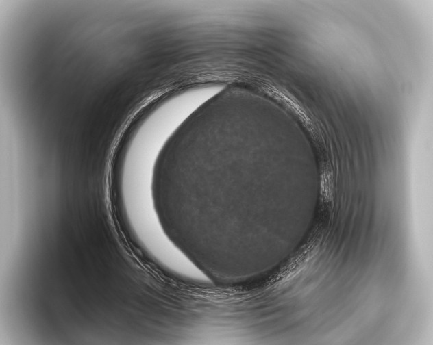 X0000096410724200801311352