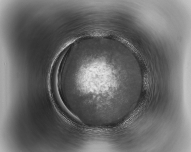 X0000096410726200801311352