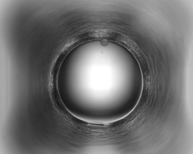 X0000096410727200801311352