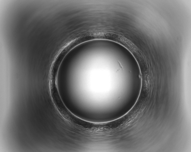 X0000096410728200801311352