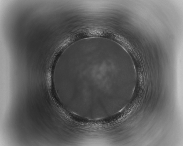 X0000096410729200801311352