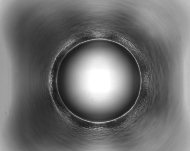 X0000096410730200801311352