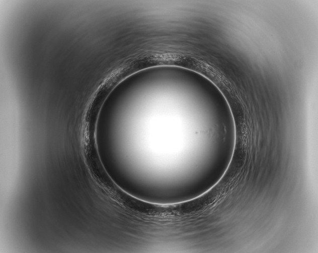 X0000096410731200801311352