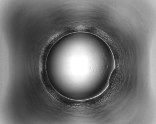X0000096410732200801311352