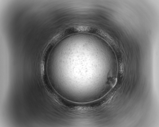 X0000096410733200801311352