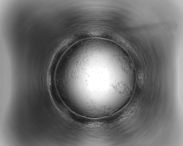 X0000096410734200801311352