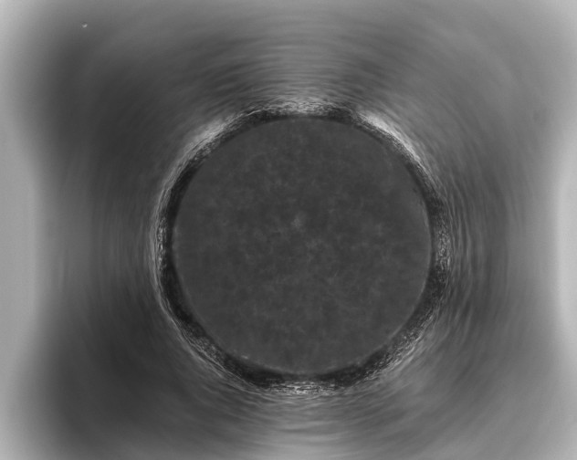 X0000096410736200801311352