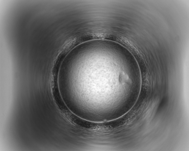 X0000096410738200801311352