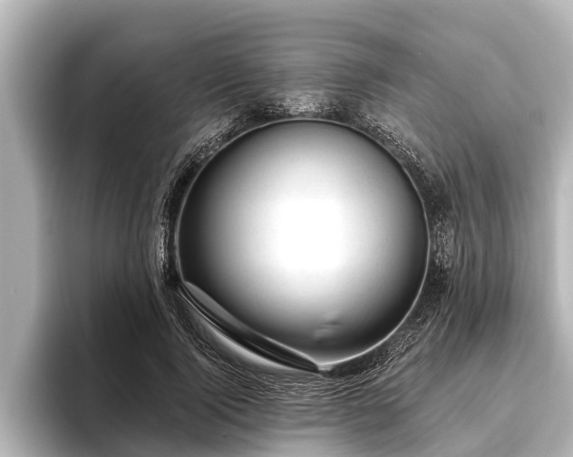 X0000096410740200801311352