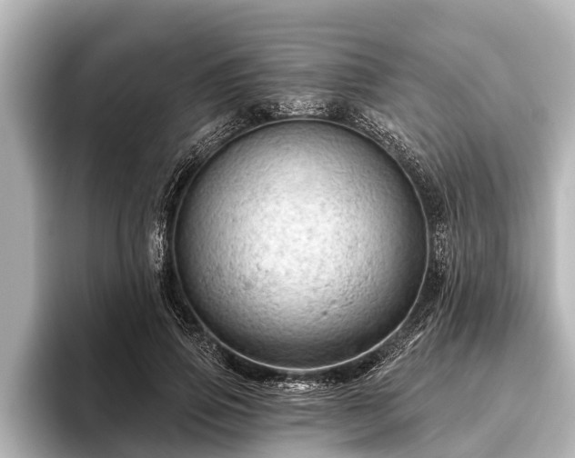 X0000096410741200801311352