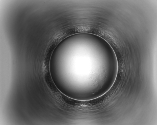 X0000096410743200801311352