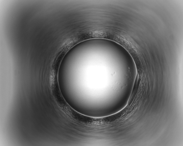 X0000096410744200801311352