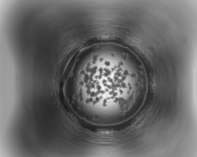 X0000096410746200801311352