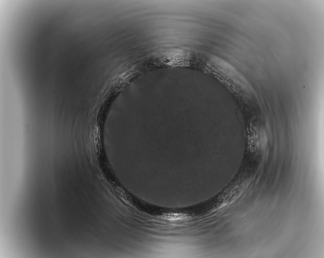 X0000096410748200801311352