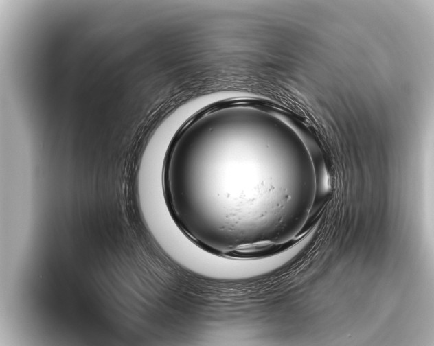 X0000096410750200801311352