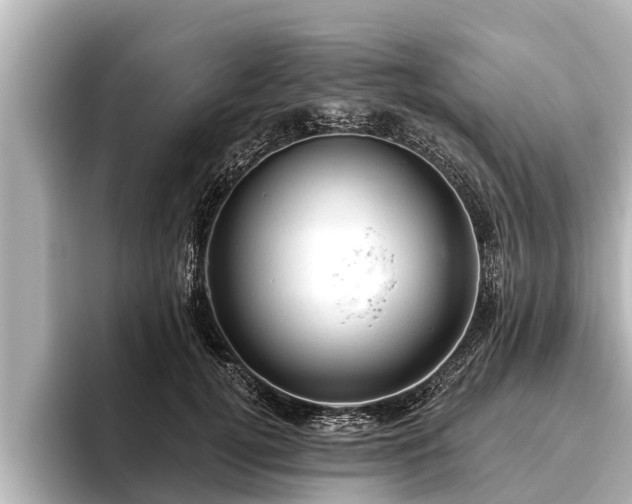 X0000096410752200801311352