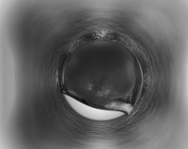 X0000096410754200801311352