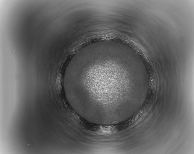 X0000096410757200801311352