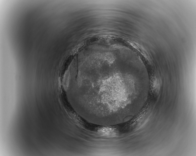 X0000096410759200801311352