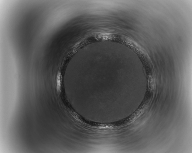 X0000096410760200801311352