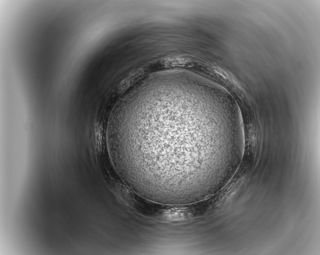 X0000096410761200801311352