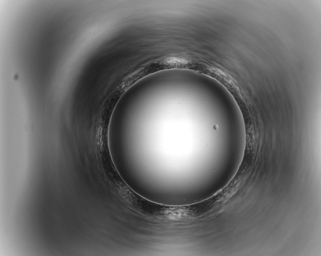 X0000096410762200801311352