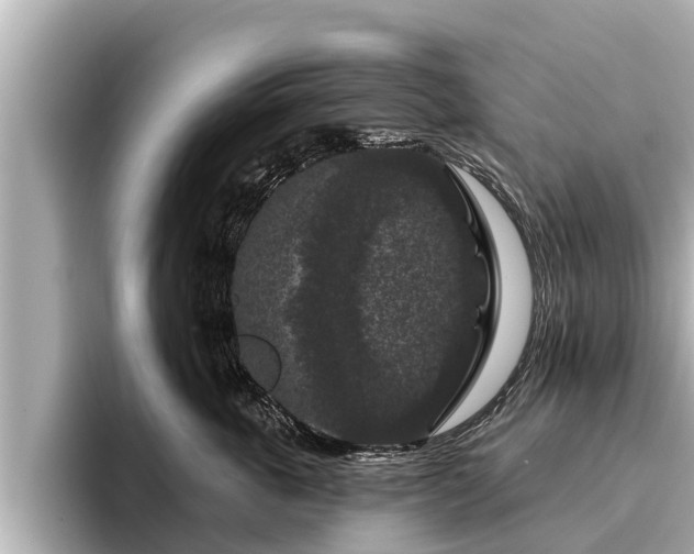 X0000096410763200801311352