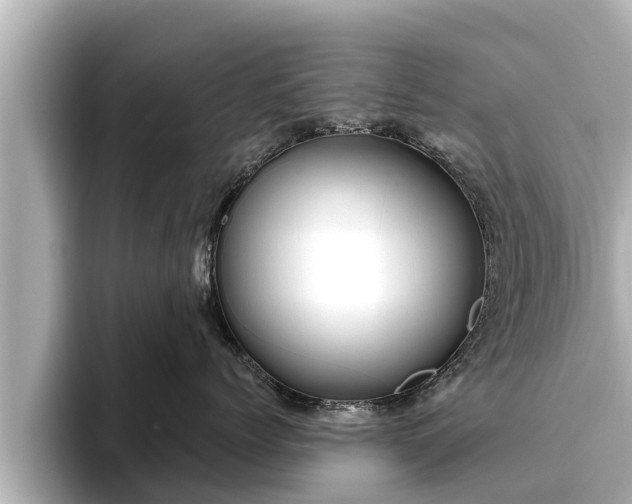 X0000096410768200801311352