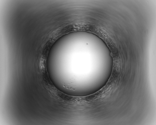 X0000096410770200801311351