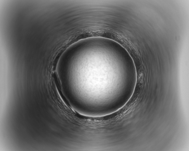 X0000096410772200801311351