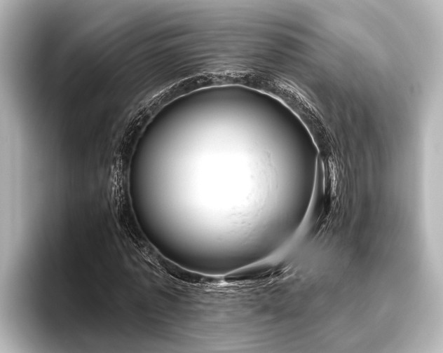 X0000096410773200801311351