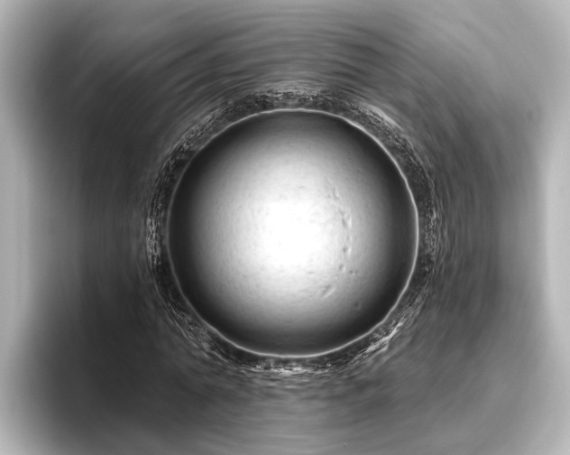 X0000096410774200801311351