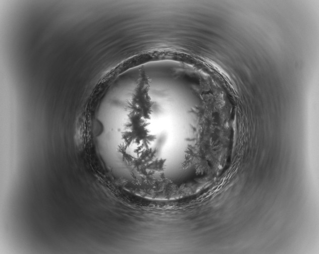 X0000096410775200801311351