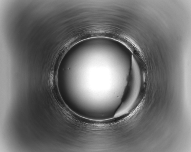 X0000096410777200801311351
