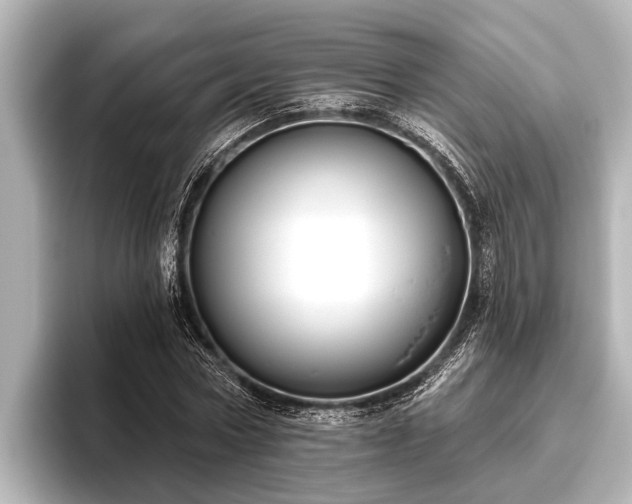 X0000096410778200801311351